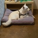 멍스테이션 이미지