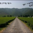 영광ic주유소 이미지