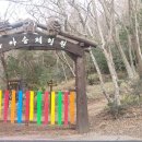 푸리롱 유아숲체험원 이미지