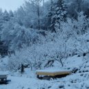 소양농장 이미지