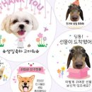 디자인키위 이미지
