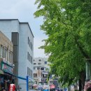 도봉-도봉-서울도봉-2163 | 사설 업체 자수마킹 후기(최강야구 레플 야구 유니폼홈/어웨이) ft. 최강몬스터즈 등번호 백넘버