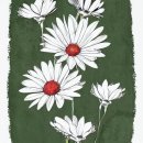 국립강릉원주대학교 이미지