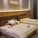 대산읍 구진로 이미지