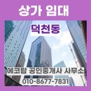 에코탑공인중개사사무소 이미지
