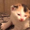 마더농장 이미지