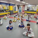 은평 백호 태권도장 이미지