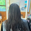 보보헤어샵 - 칠곡군 | 보보헤어샵