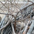 풍산농장 이미지