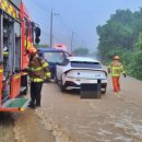 감삼동348 이미지