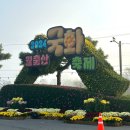 영암충전소 | [영암] 2024월출산 국화축제 전시기간 연장 오히려 조하(11월11일방문)