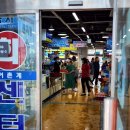 전곡항 클럽하우스 2층 | 대부도 전곡항 여행 2023 화성 뱃놀이 축제(요트체험 카페)