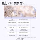 2024046 | [벚꽃 명소] 서울 뚜벅이 지하철로 갈 수 있는 숨은 벚꽃 명소 5곳 추천!!