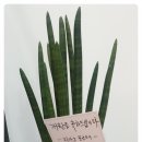 엘림음악교습소 이미지