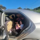 희주목장 이미지