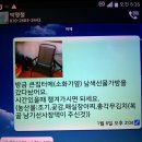 모친의 지역 요양병원 코로나확진 대처를 담담히 하며..[옛 가문사건을 부침] 이미지