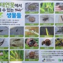 변종인 묘와 신도비 | 경기둘레길 55코스 : 부천 소사역 ~ 부천오정대공원