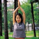 요가와 스트레칭 Daum카페