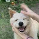 꽃과그늘