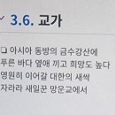 망운초등학교 이미지