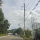 화이트 크로우 브루잉 이미지