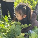 미예뜰유치원 이미지