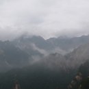 장군봉 농장 이미지