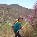 유가사 주차장(구) 이미지