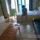 달링하버 펜션 이미지