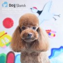 Happy 애견샵 이미지