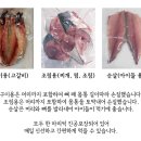 주식회사 바다마을