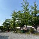 ⛺ 공주 정안 글램핑장 후기 | 아이 둘 데리고 당일 글램핑 수영까지 알차게 즐긴 방법