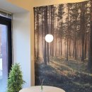 도로변(항동 204-2) | 강릉의 소나무 향을 그대로 담은 이색카페 ‘강릉앤솔’ 방문기