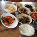 참솔 영양탕