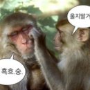 지우ENG