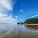 볼음도저어새생태마을 이미지