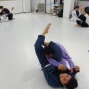 리버티BJJ 네이버블로그