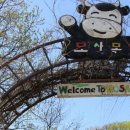 둥둥목장 이미지