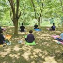 좌구산휴양림 명상의집 이미지