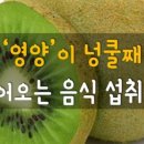넝쿨째 Daum카페