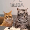 다호동물병원 이미지