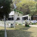 천안컨벤션웨딩3층 이미지