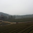 백학로 이미지