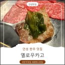 안성 한우 맛집 옐로우카고 한우 꽃등심과 육사시미 맛있는 집