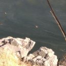 추성주유소 이미지