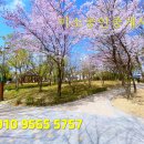 초정공인중개사사무소 이미지