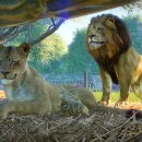 (주)플래닛 이미지