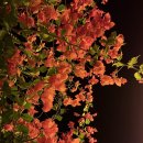 신성펜션 | 튀르키예 카쉬 숙소 리뷰 멜텀펜션(Meltem Pansion) 숙박 후기