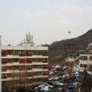 합성회현