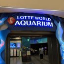 꿈에월드어린이집 | [잠실] 롯데월드 아쿠아리움 평일 방문 후기: 주차 할인부터 볼거리